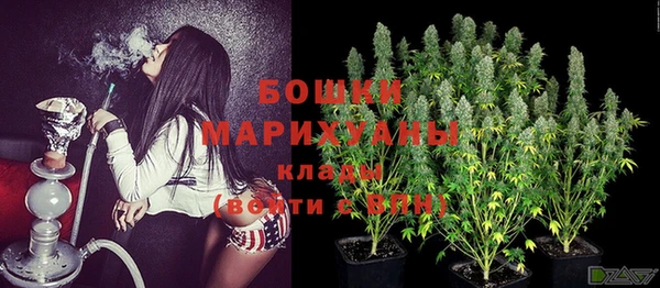 spice Абаза