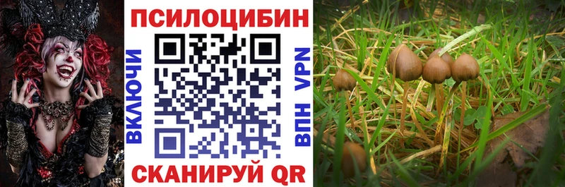 Псилоцибиновые грибы мухоморы  Арсеньев 